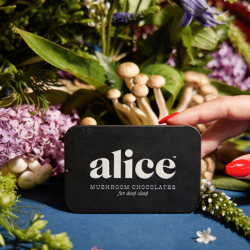 Alice Mushrooms NightCap – 2 Tins (32 Doses)