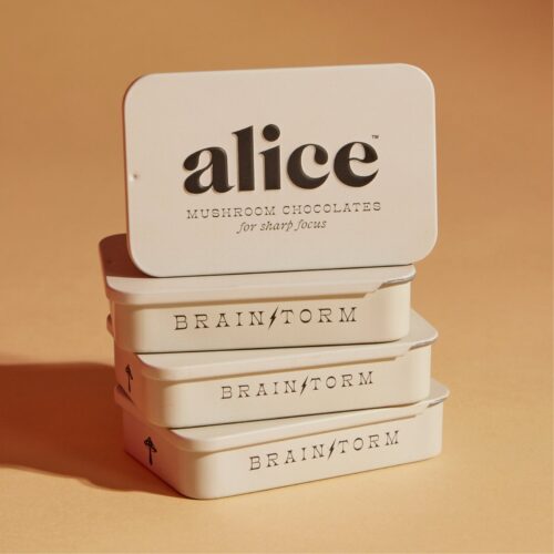 Alice Mushrooms – Brainstorm Chocolate For Sharp Focus